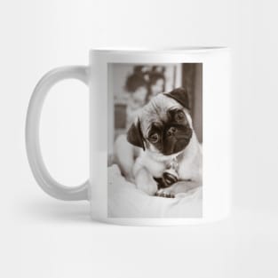 Super Girl Fawn Pug Puppy Black and White Mug